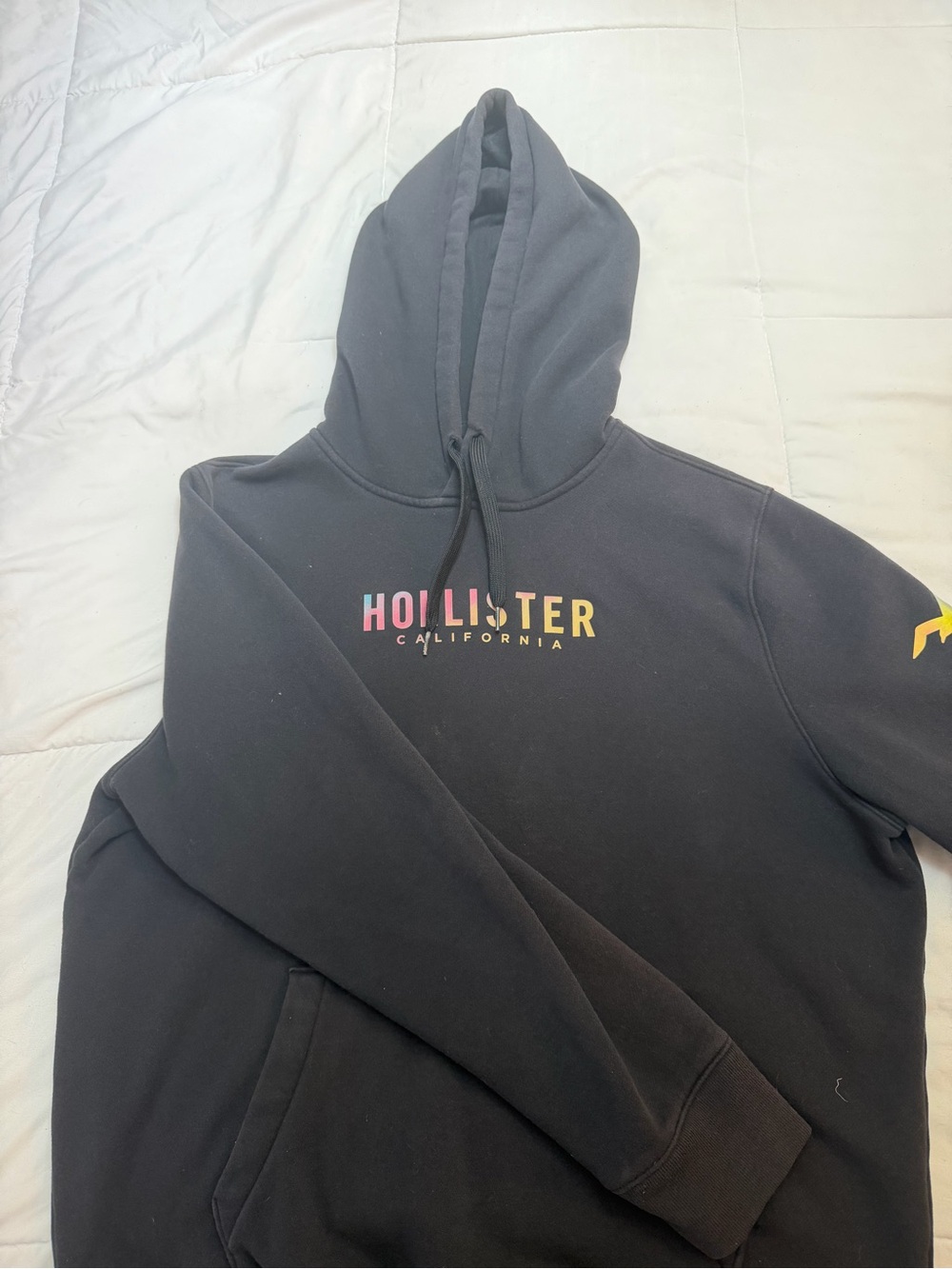 Hollister Chrome Black Hooded Sweatshirt with Multicolor Logo